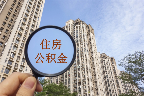 公积金还看征信吗吗_焦作公积金代办在职离职封存服务